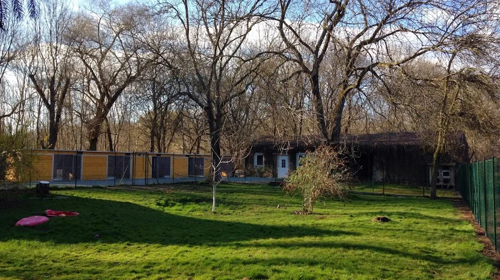 Anna's Tierpension und Hundeschule - Kyffhäuserland pet otel