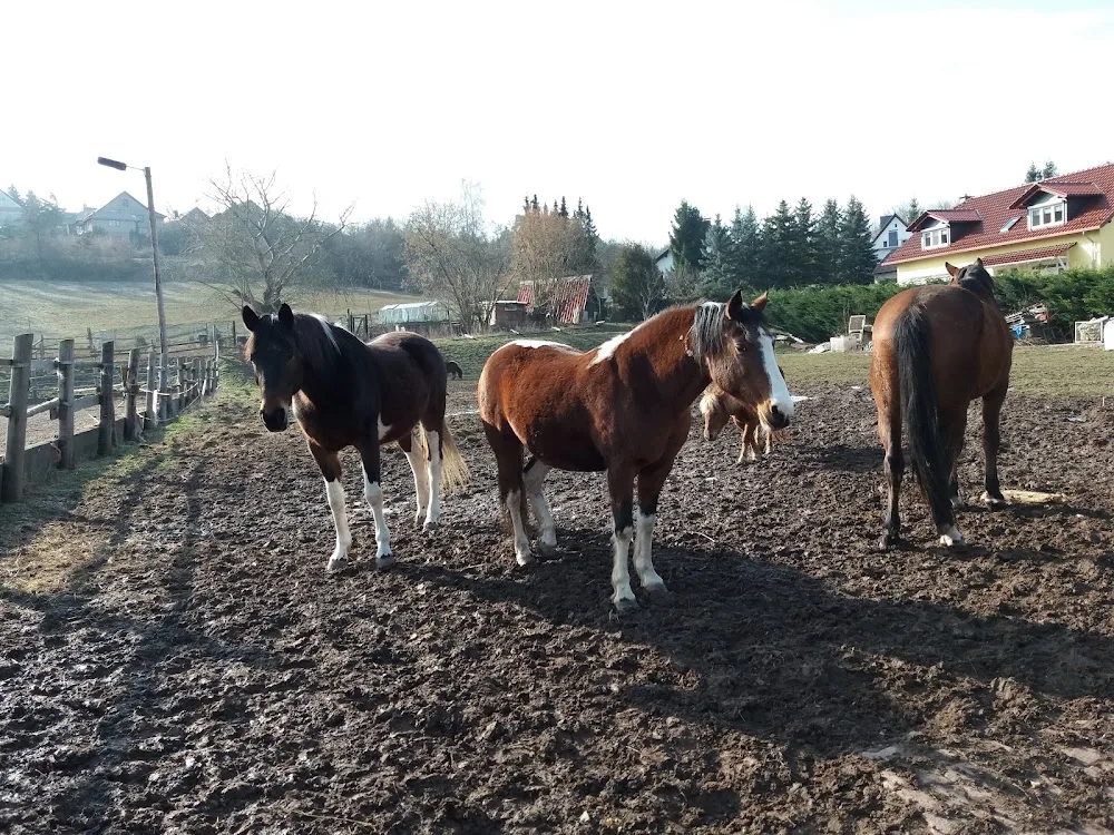 Ferienhof & Pension Nucke - Kyffhäuserland pet otel