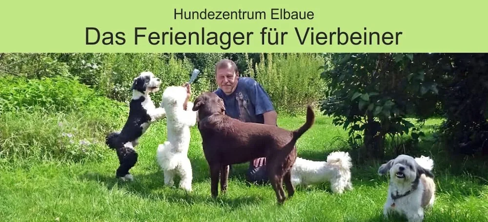 Hundezentrum Elbaue - Kyffhäuserland pet otel