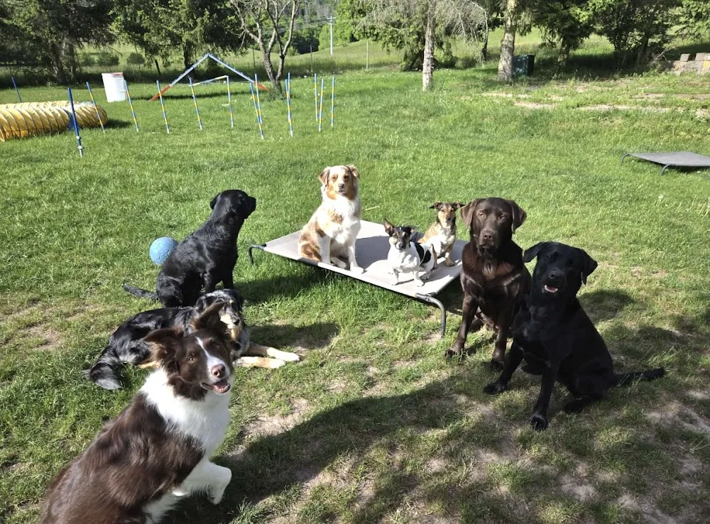 Kasis Tierbetreuung - Kyffhäuserland pet otel