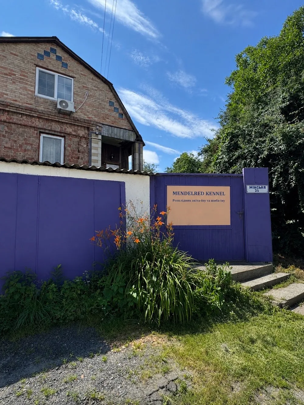 Mendelred Kennel Розплідник акіта-іну та шиба-іну - Kyiv pet otel
