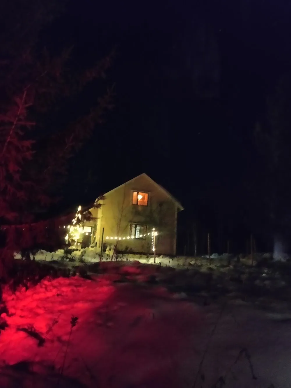 Kennel Wolfmoment - Kymenlaakso pet otel görseli 3