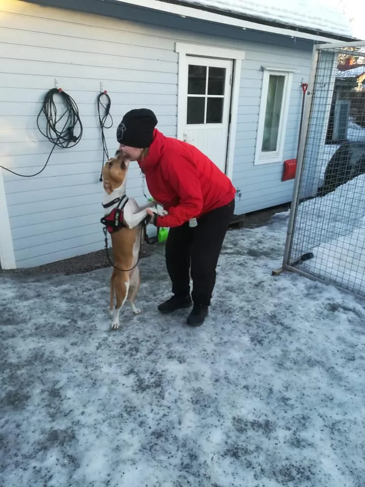 Koirahoitola LomaLuppa - Kymenlaakso pet otel görseli 3
