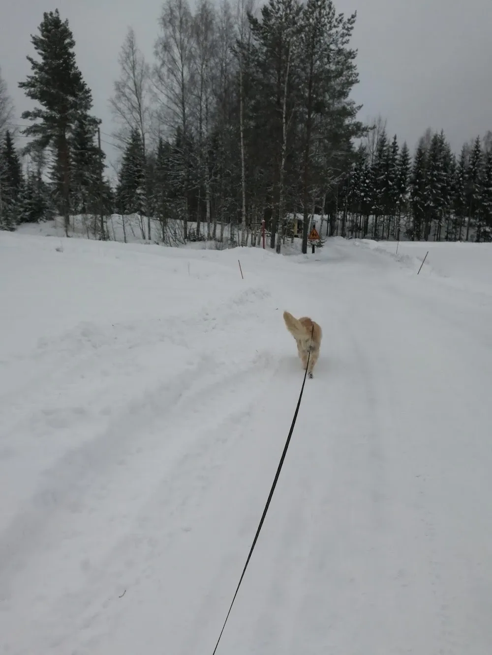 Millinraitti - Kymenlaakso pet otel