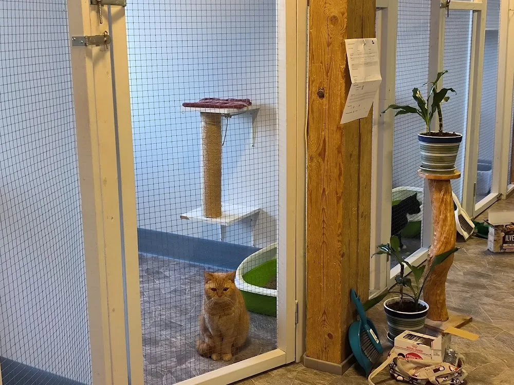 Myllyn Kissahoitola - Kymenlaakso pet otel görseli 3