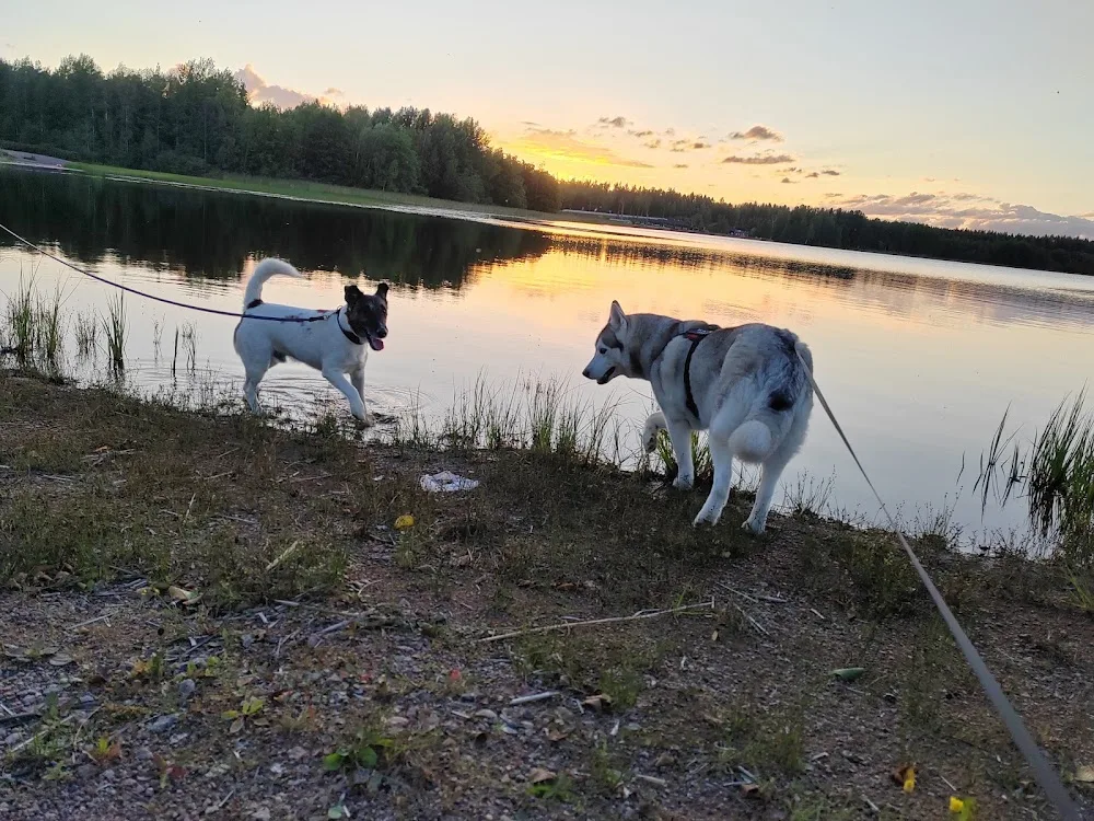NiBo studio - Kymenlaakso pet otel görseli 3