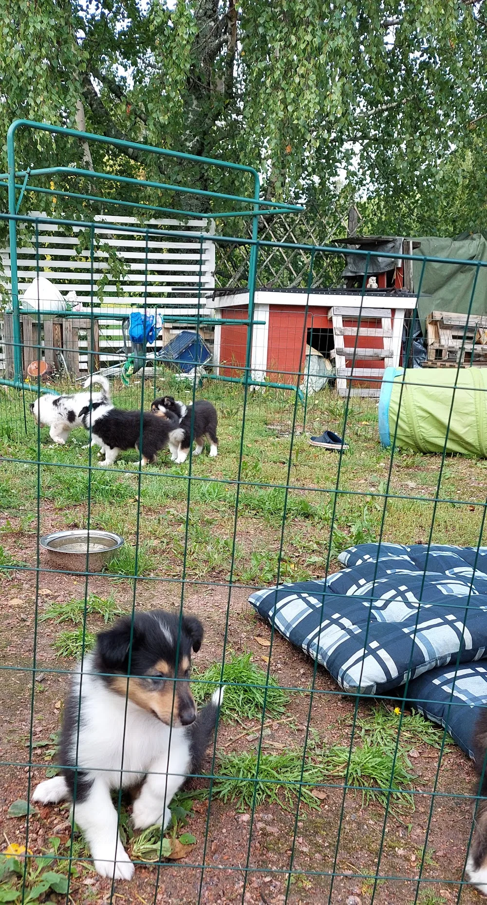 Samuways - Kymenlaakso pet otel görseli 3