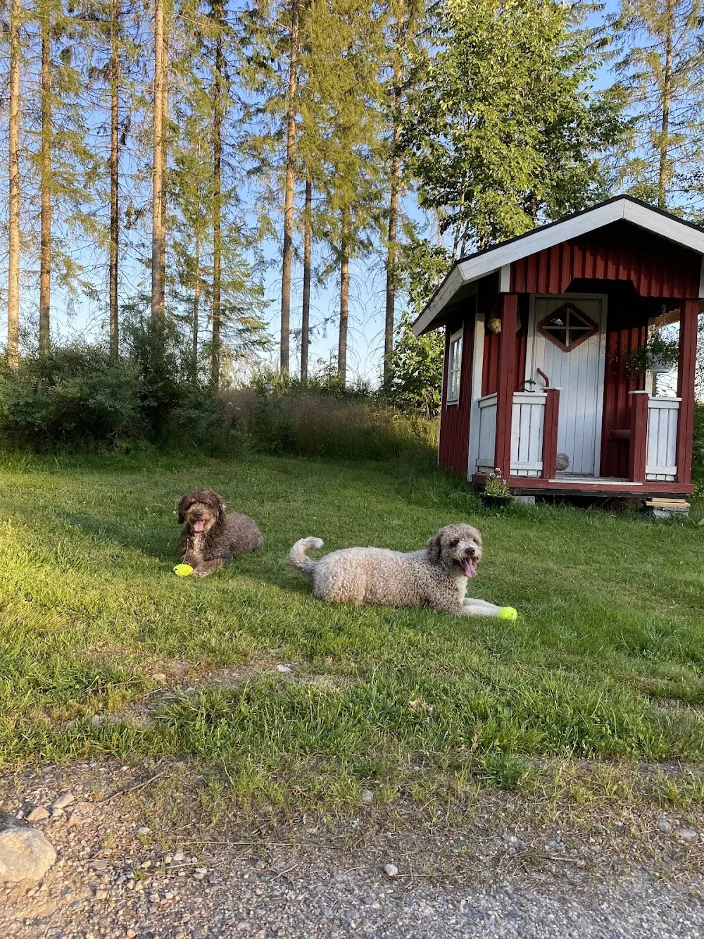 Tassula - Kymenlaakso pet otel
