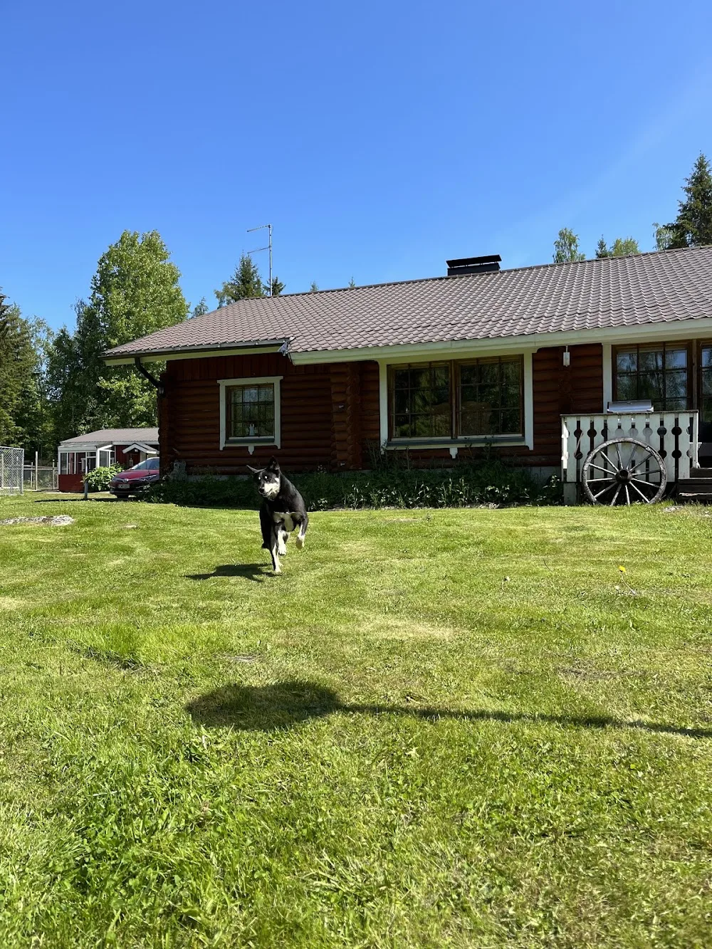 Tassula - Kymenlaakso pet otel görseli 3