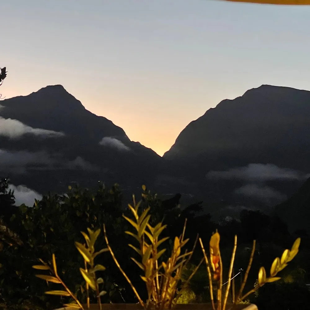 Galiendo Comportementaliste - La Réunion pet otel görseli 4