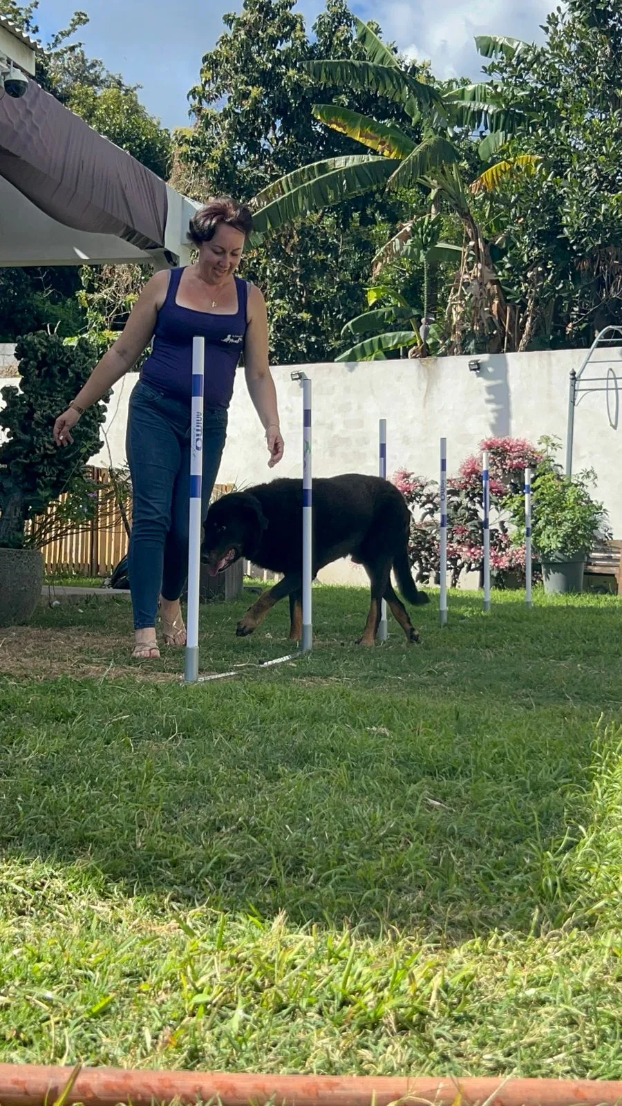 Le Cocon de Cookie - La Réunion pet otel görseli 3