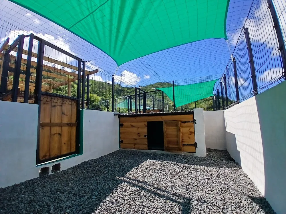 Les Tites Pattes - La Réunion pet otel görseli 6