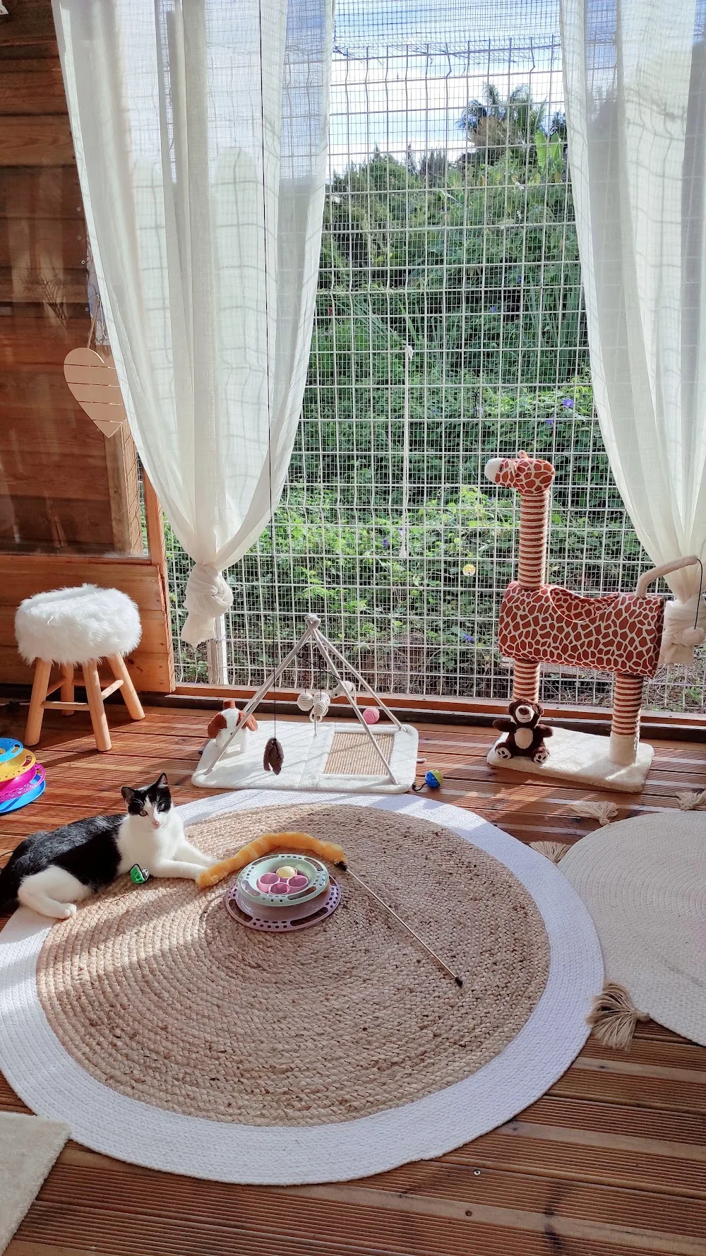 Lodge 1 2 3 Cat - La Réunion pet otel