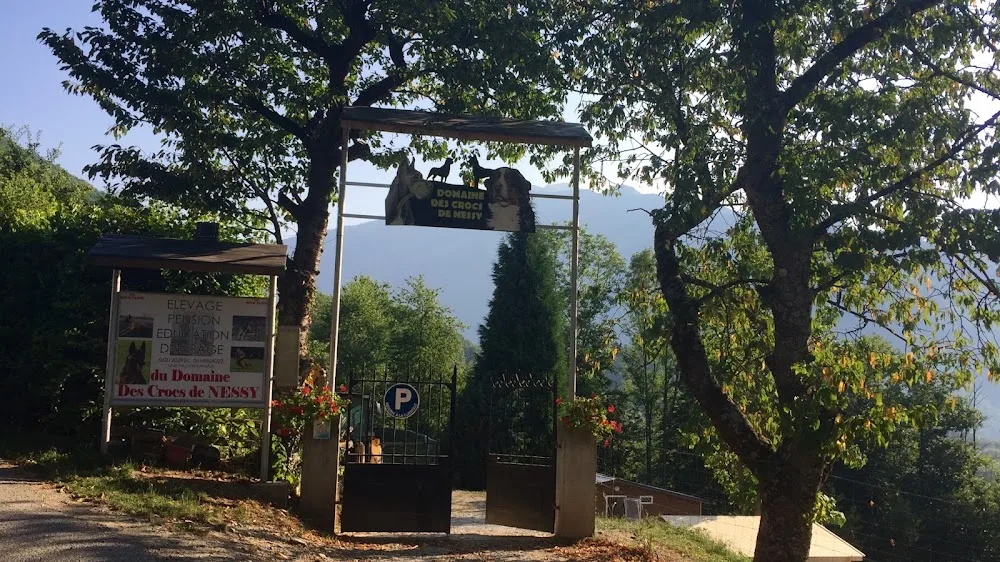 Pension Éducation Élevage Canine Savoie du domaine des crocs de Nessy - La Réunion pet otel görseli 2