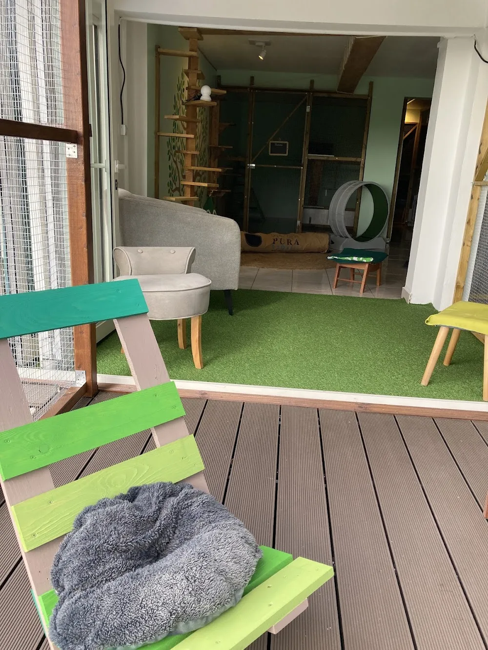 Pension Féline & Comportementaliste L'Arbre à Chats - La Réunion pet otel görseli 2