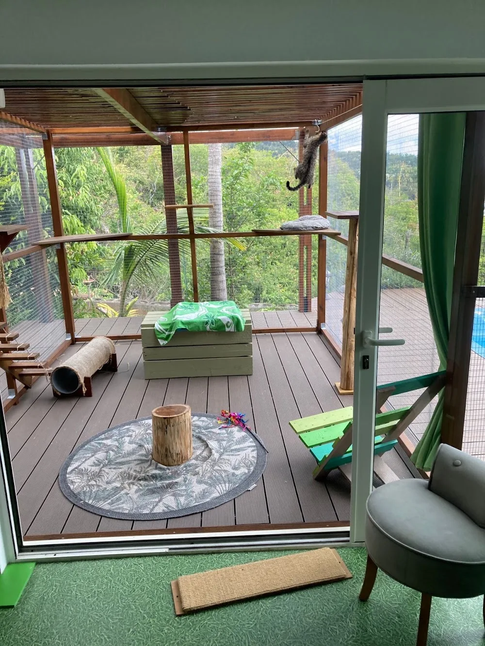 Pension Féline & Comportementaliste L'Arbre à Chats - La Réunion pet otel görseli 3