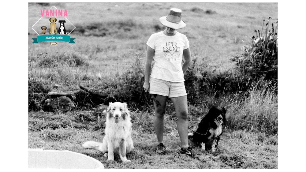 Vanina Pension Canine - La Réunion pet otel görseli 3