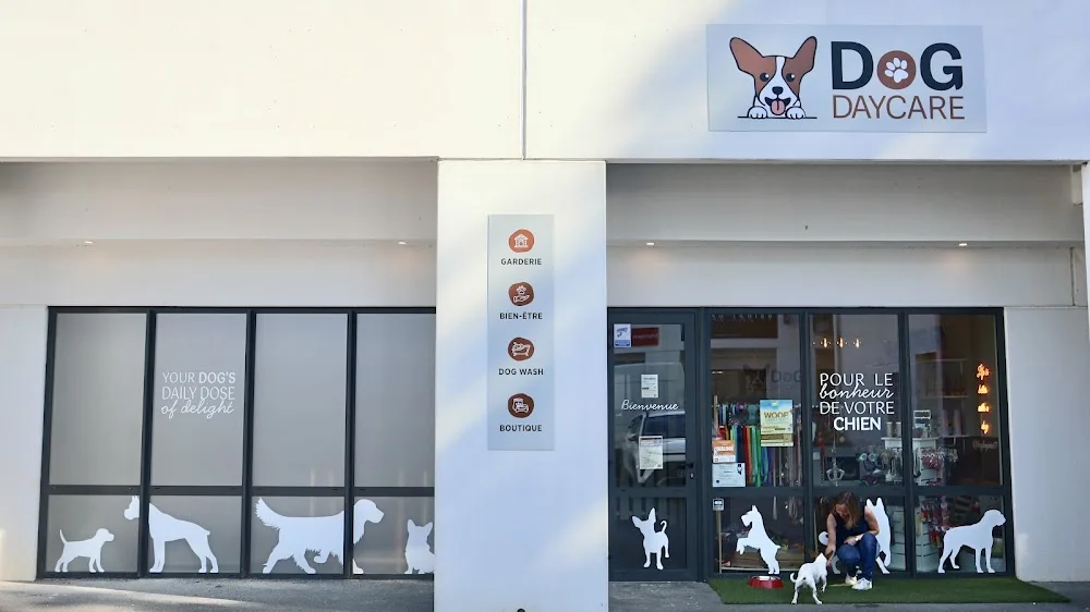 DOG DAYCARE - LA RIVIÈRE pet otel