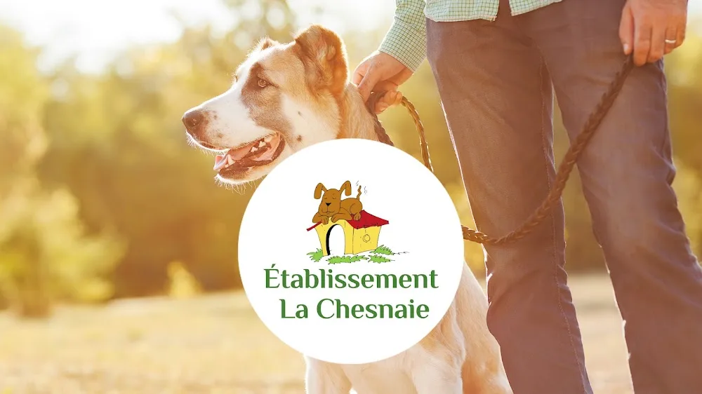 Chenil la Chesnaie - La Roche-Blanche pet otel