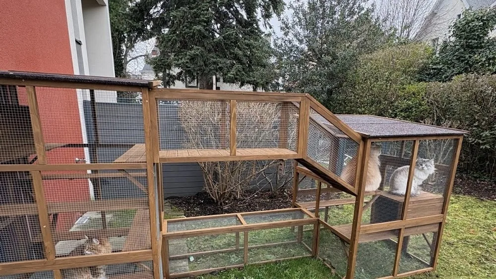 La Crème Des Pattounes - Pension pour chats Clermont-Ferrand - La Roche-Blanche pet otel