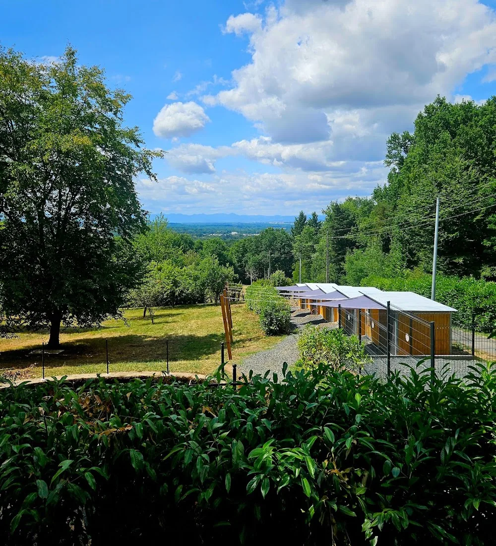 Pension Élevage Dressage des Prodiges d'Auvergne - La Roche-Blanche pet otel görseli 3
