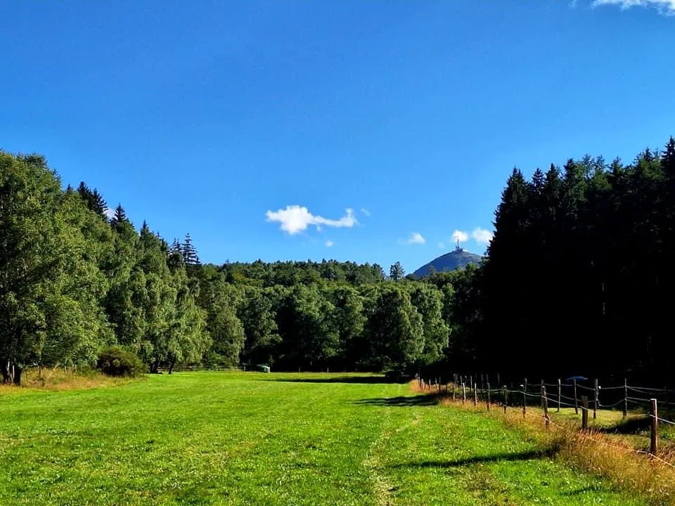 Pension les Mathaux - La Roche-Blanche pet otel görseli 2