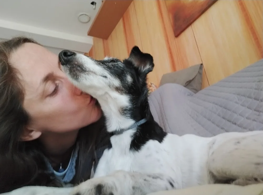 Sandie bonheurs de la Limagne - Garde d'animaux - La Roche-Blanche pet otel