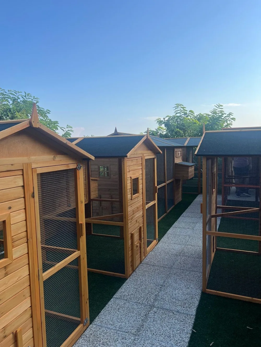 Volcagriffes SA - PENSION CHAT - La Roche-Blanche pet otel görseli 2