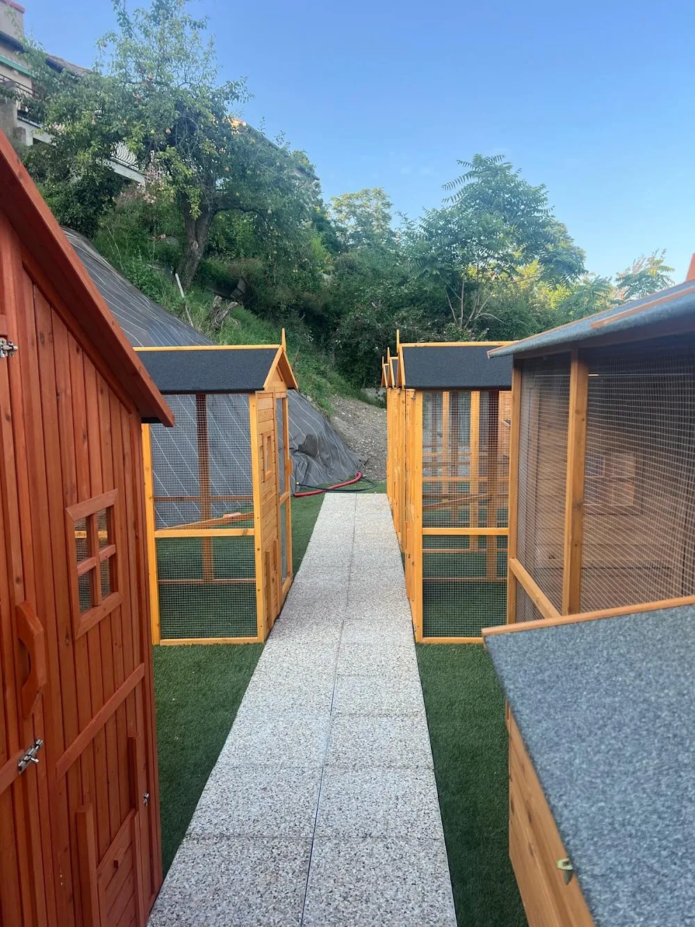 Volcagriffes SA - PENSION CHAT - La Roche-Blanche pet otel görseli 3