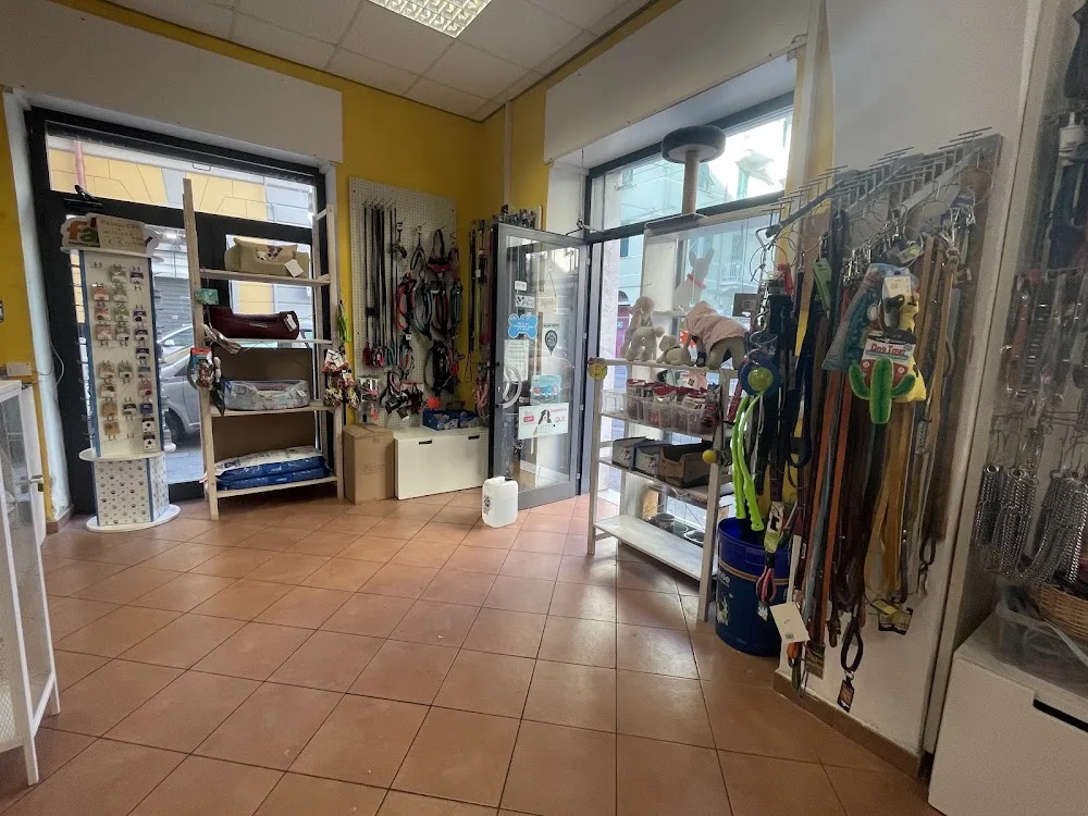 Casa Del Cane - La Spezia pet otel görseli 3