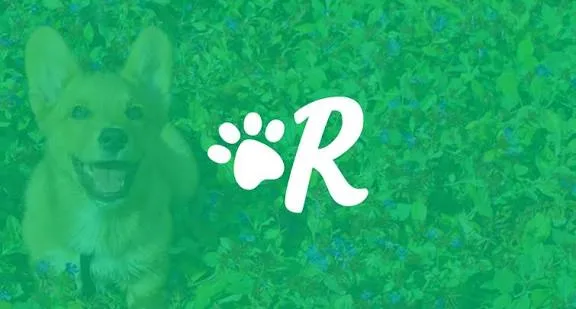 Pensione casalinga per cani rover - La Spezia pet otel