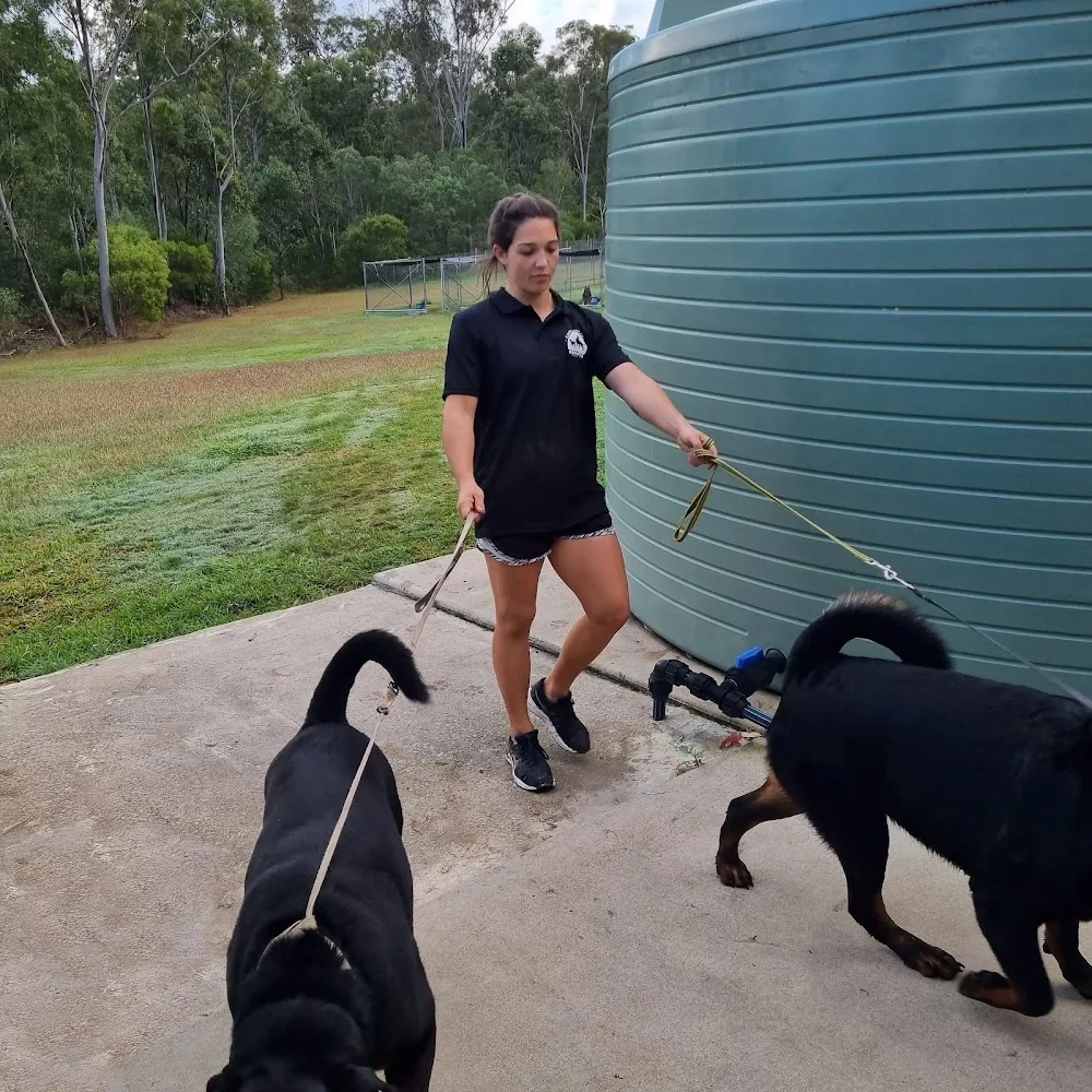 Capricorn Coast Kennels Yeppoon - Lakes Creek pet otel görseli 3