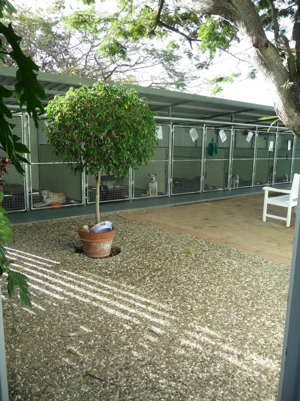 Kitts Katts Mutts and Pups Boarding complex - Lakes Creek pet otel görseli 3