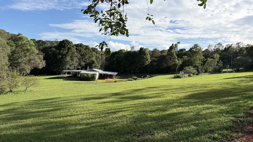 Lake Eacham Dog Sitting - Lakes Creek pet otel görseli 2