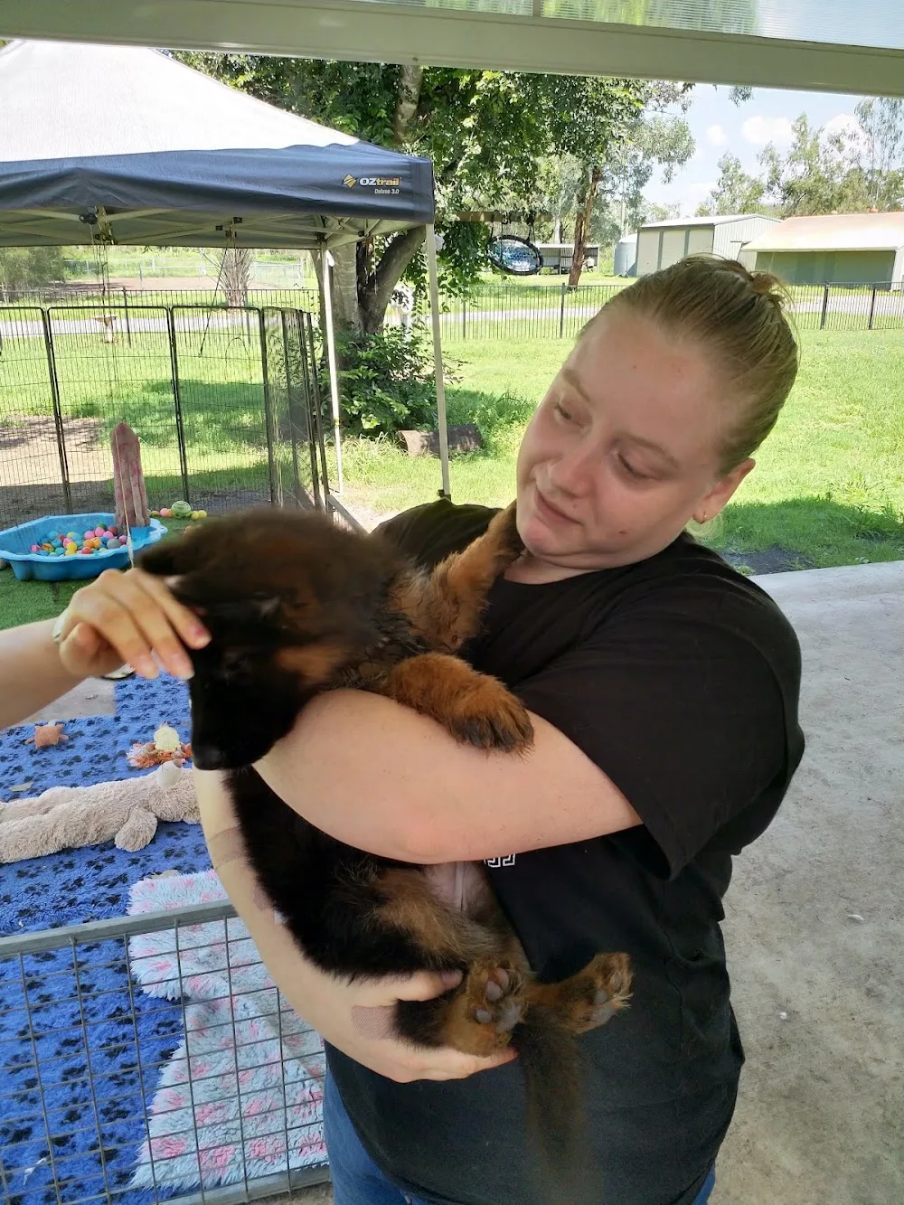 Whylaway Boarding Kennels & Cattery - Lakes Creek pet otel görseli 2