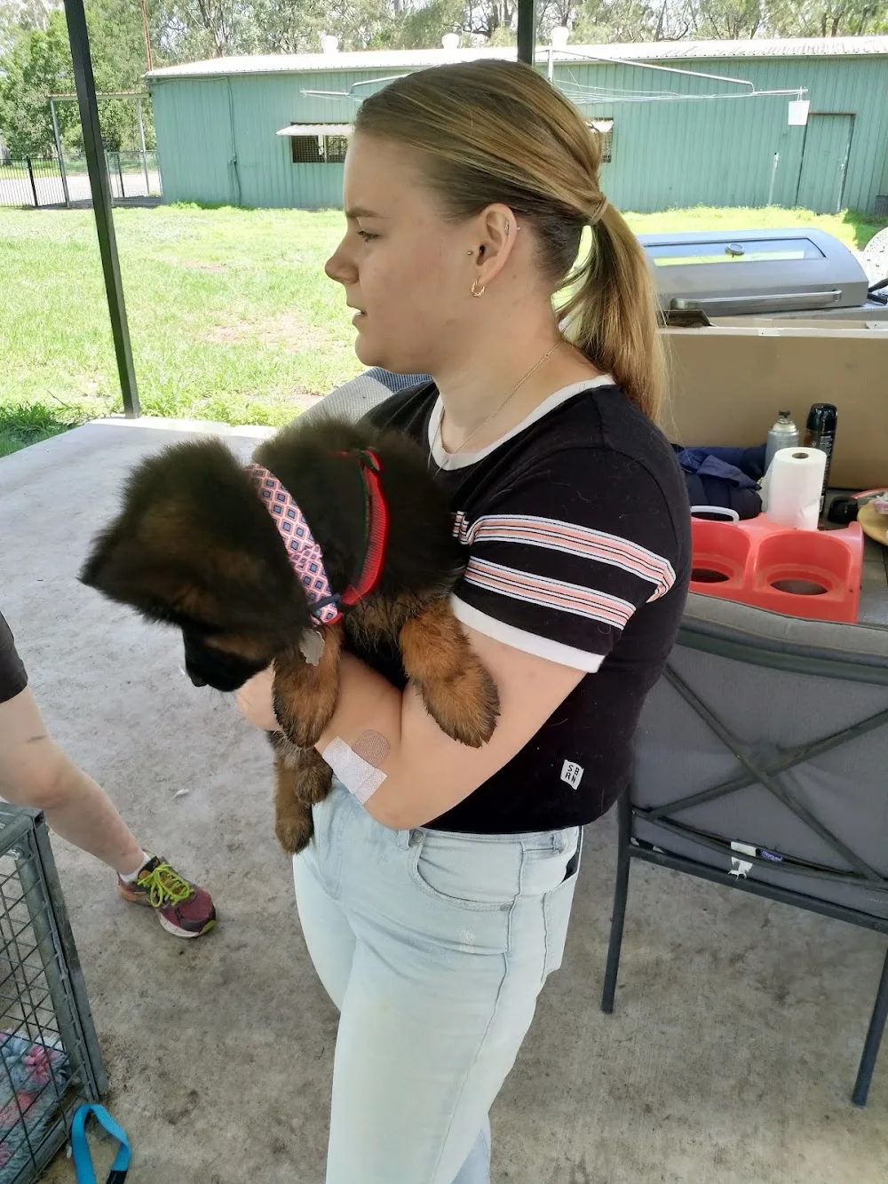 Whylaway Boarding Kennels & Cattery - Lakes Creek pet otel görseli 7