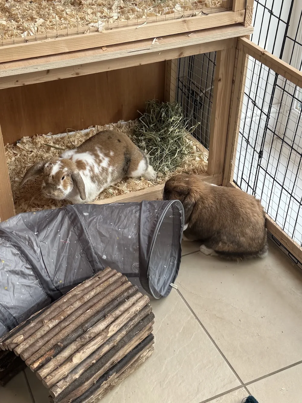 Wimblebun Small Pet Boarding - Lambeth pet otel