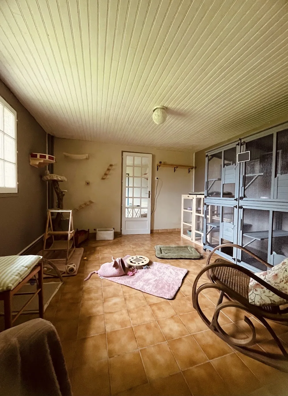 L'harmonie féline - Landes - Landes pet otel