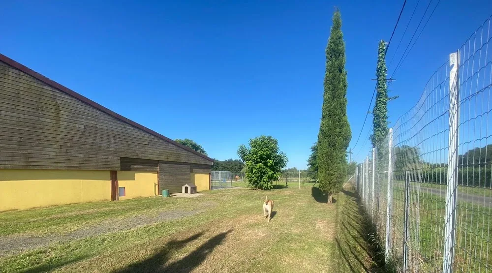 Pension canine de la Cuadrilla - Landes pet otel görseli 3