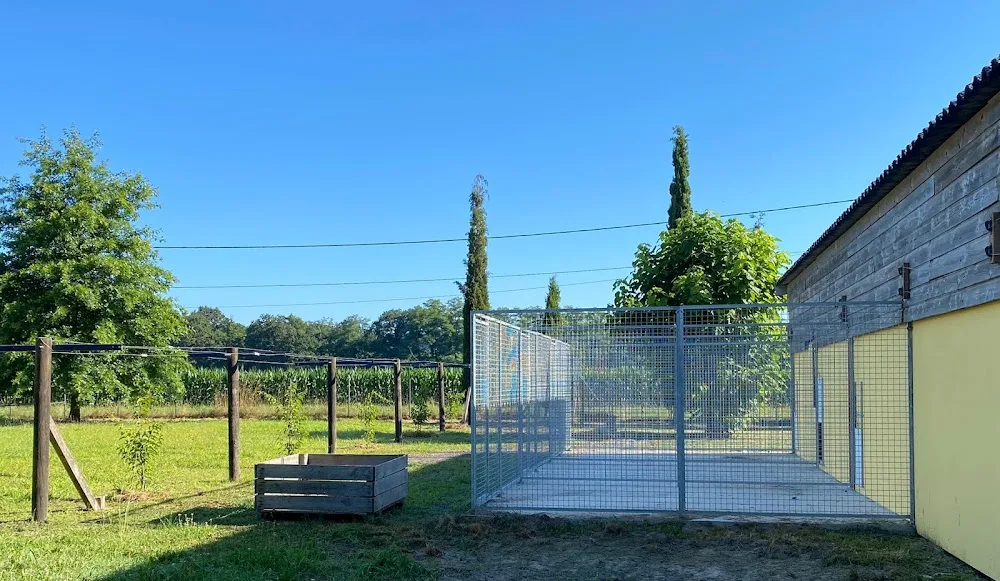 Pension canine de la Cuadrilla - Landes pet otel görseli 6