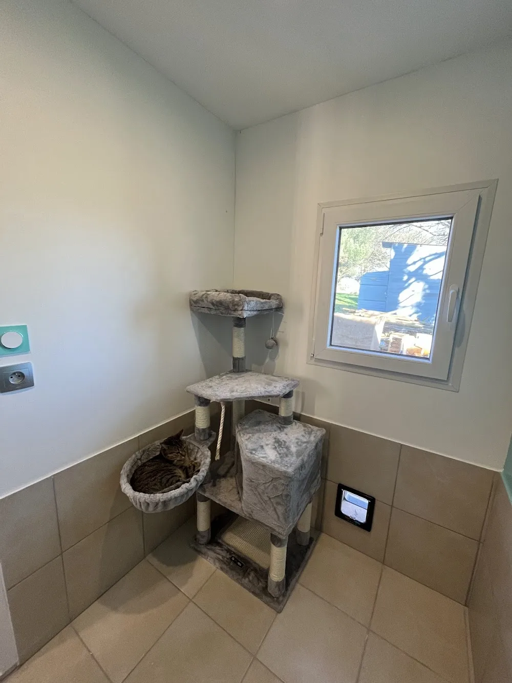 Pension Féline La Pinède - Landes pet otel