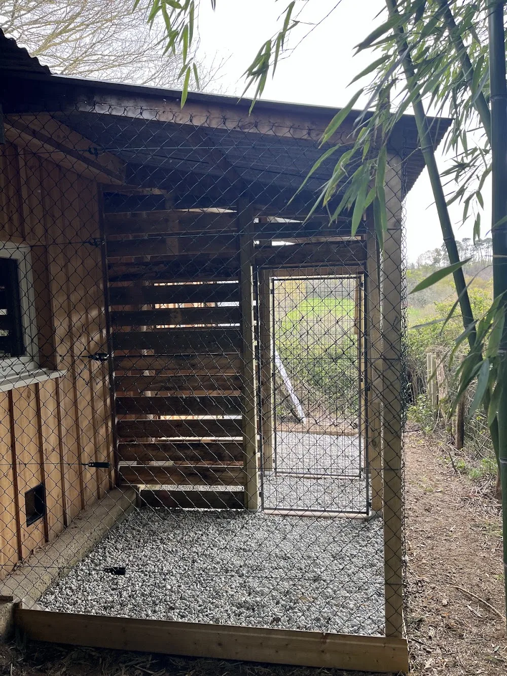 Pension Féline La Pinède - Landes pet otel görseli 3