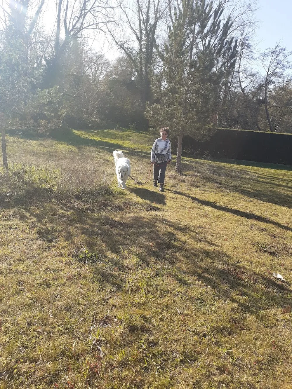 Toutous épanouis - Landes pet otel görseli 3