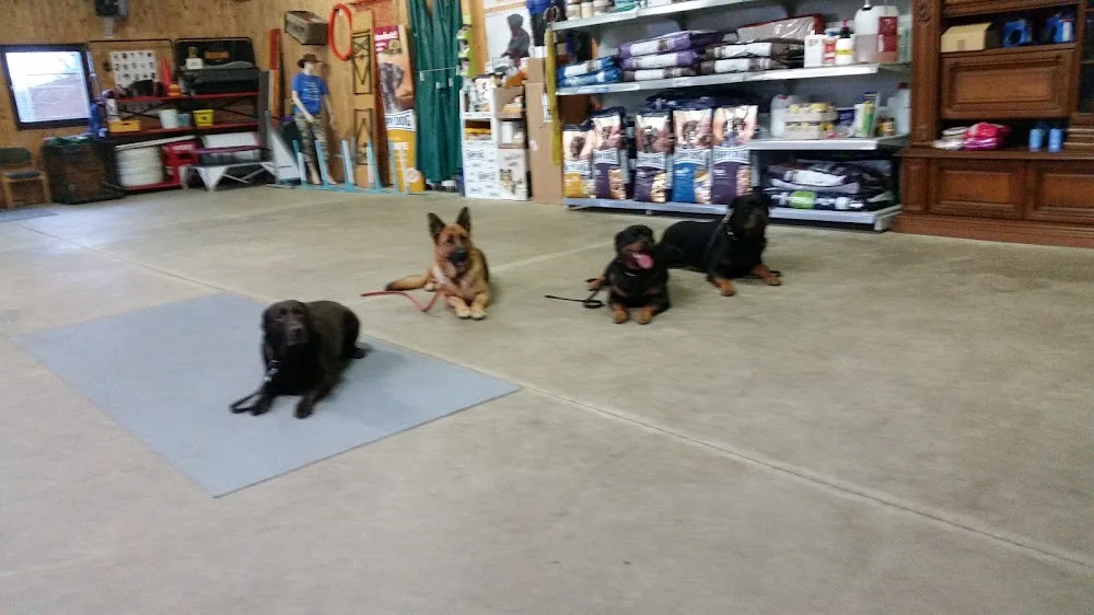 Ausbildungszentrum und Pension Hundeschule Oberharz - Langelsheim pet otel görseli 3