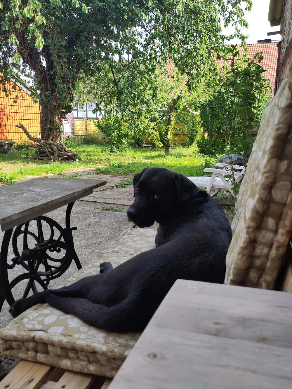 Elisas Hundehaus - Langelsheim pet otel