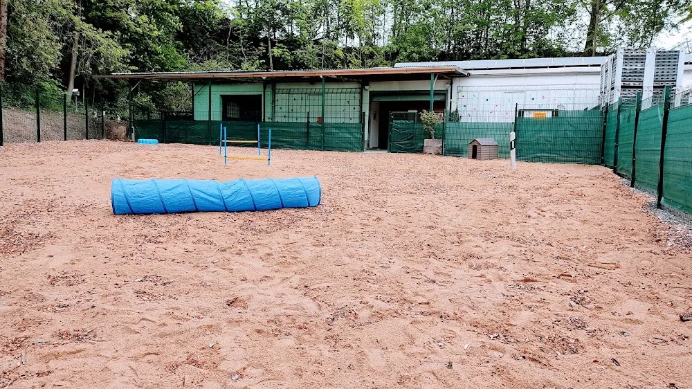 Hundetagesstätte -Im Friedenstal- Leverkusen - Langenfeld (Rheinland) pet otel görseli 3