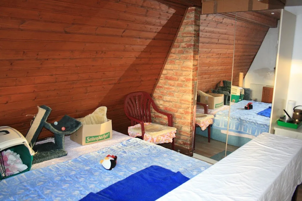 Ingeborg Saes Katzenpension-sofatiger - Langenfeld (Rheinland) pet otel görseli 2