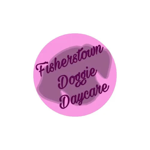 Fisherstown Doggie Daycare - Laois pet otel