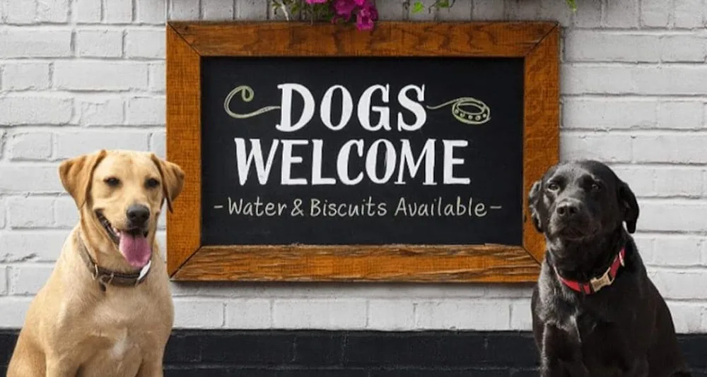 Midlands Canine Academy - Laois pet otel görseli 3