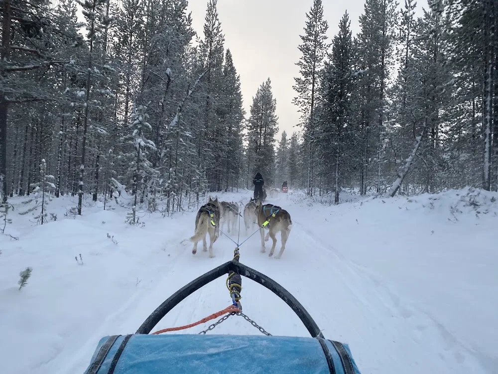 Happy Huskies - Lapland pet otel